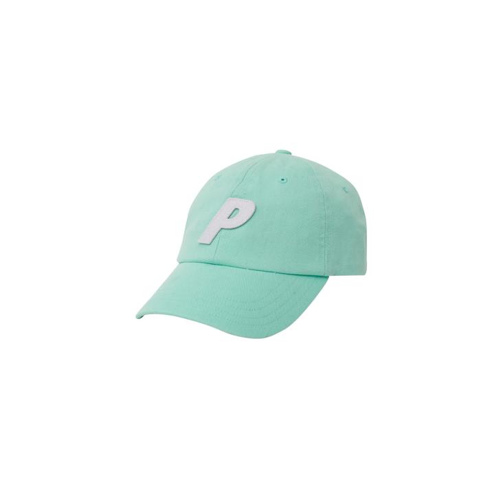 P 6-PANEL MINT one color