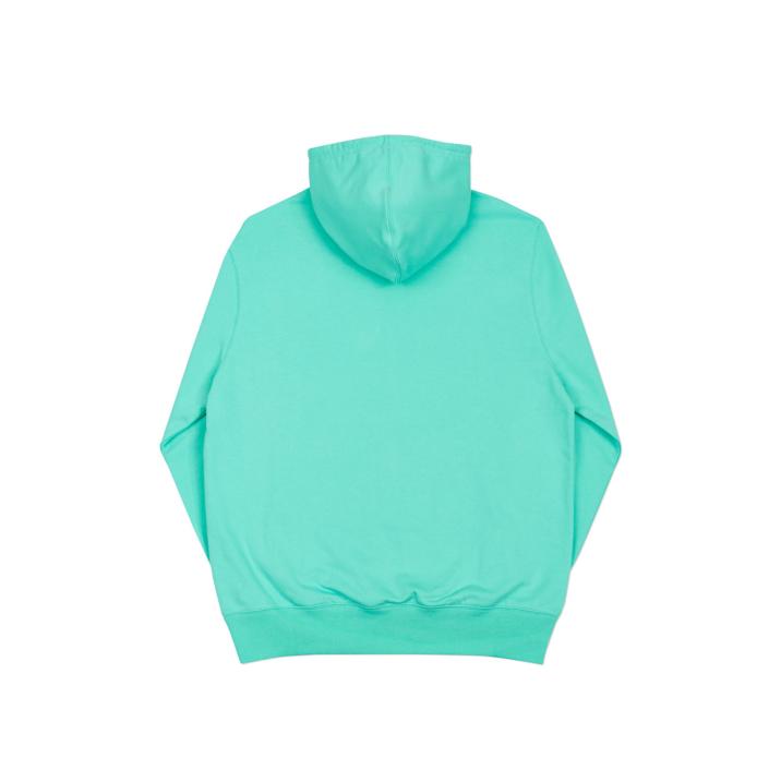 Thumbnail TRI-FERG HOOD LIGHT GREEN one color