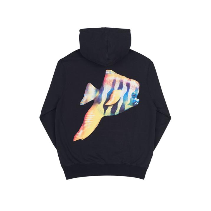 Thumbnail TROPICAL PISH HOOD BLACK one color