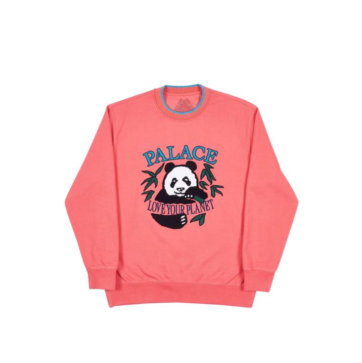 Thumbnail PANDA CREW PINK one color