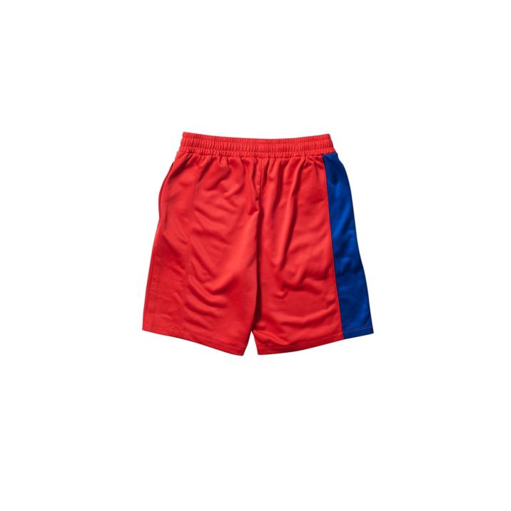 Thumbnail RITUAL TRACK SHORTS HIBISCUS / BLUE one color