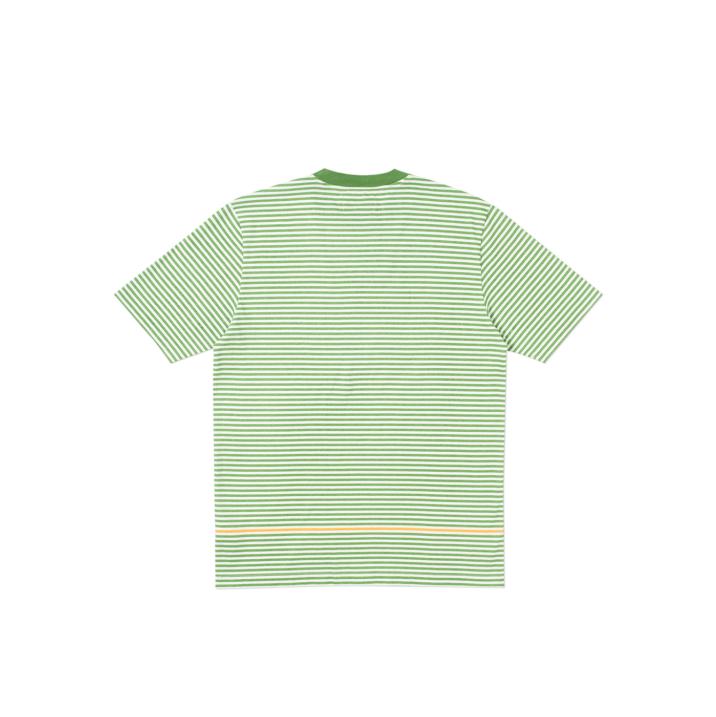 Thumbnail RASTEL T-SHIRT GREEN / WHITE one color