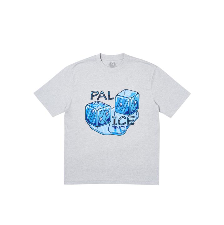 PAL ICE T-SHIRT GREY MARL one color