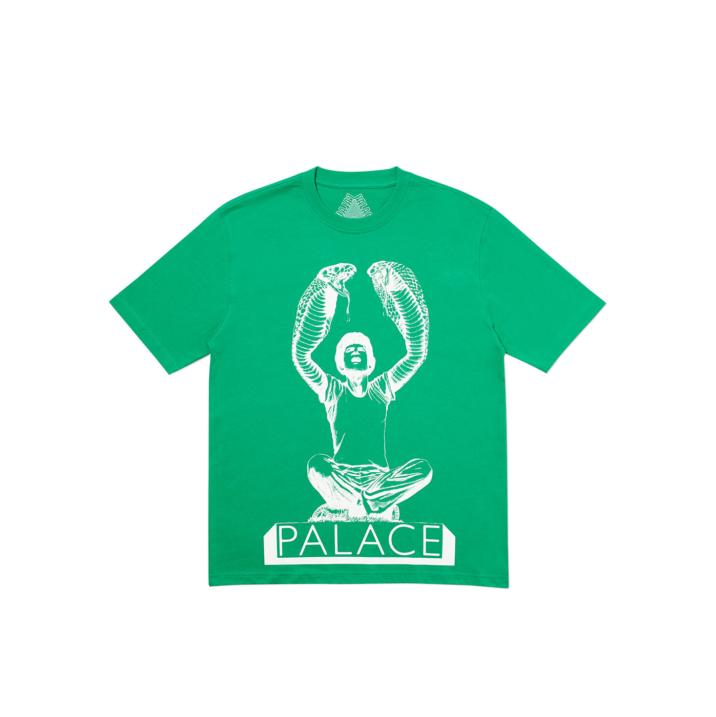 SNAKEY T-SHIRT GREEN one color