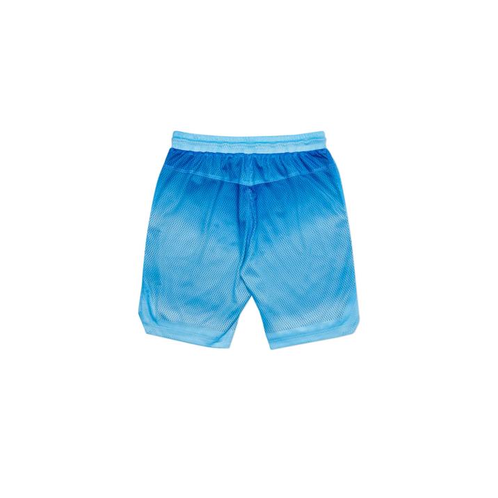 Thumbnail AIRTEX ROUNDHOUSE TO THE FACE SHORTS SKY one color