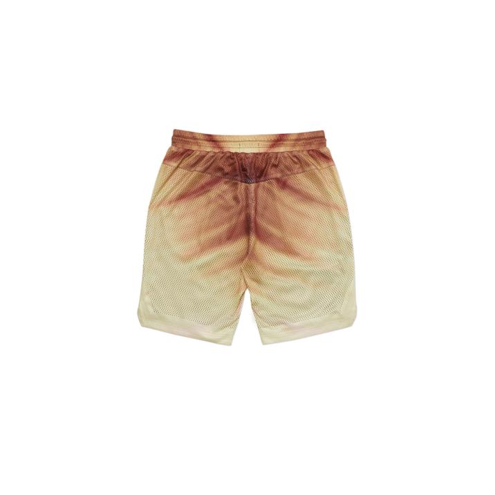 Thumbnail AIRTEX ROUNDHOUSE TO THE FACE SHORTS BRONZE one color