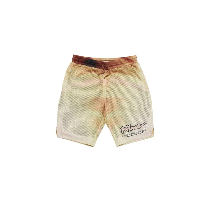 Thumbnail AIRTEX ROUNDHOUSE TO THE FACE SHORTS BRONZE one color