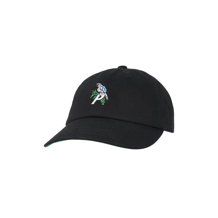 Thumbnail PARROT 6-PANEL BLACK one color