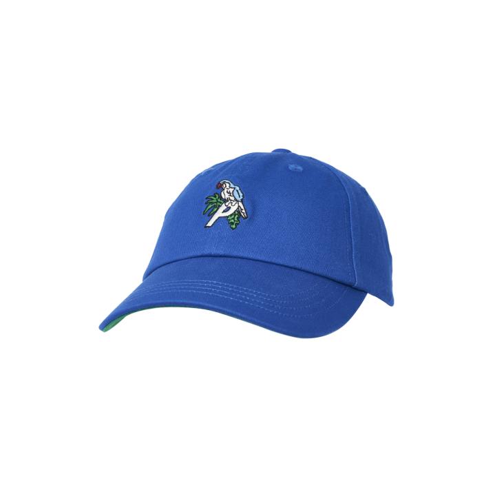 Thumbnail PARROT 6-PANEL BLUE one color