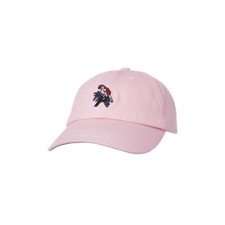 Thumbnail PARROT 6-PANEL PINK one color