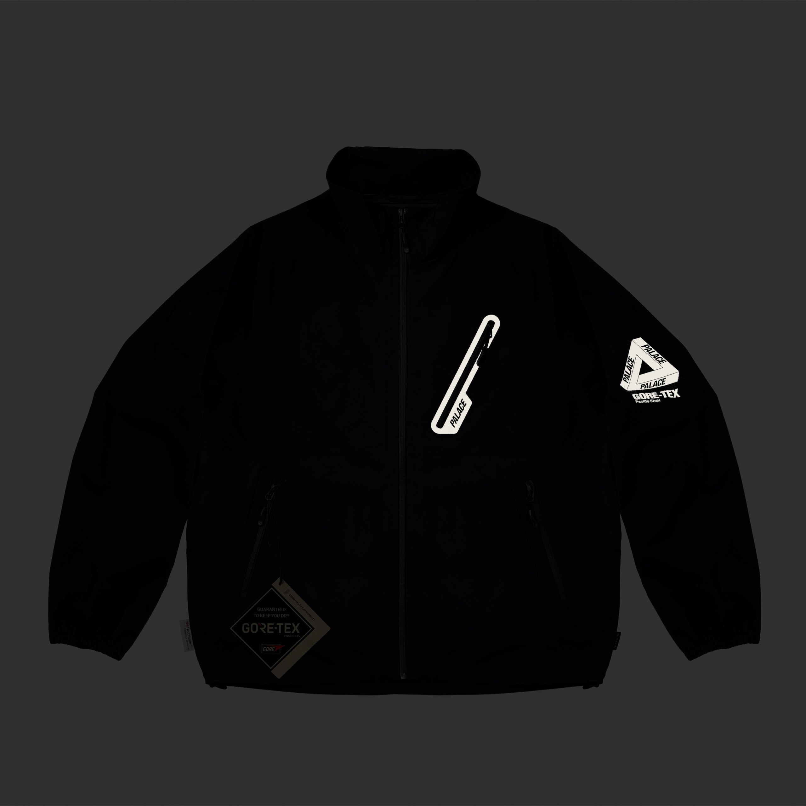 Thumbnail GORE-TEX P-LITE JACKET BLACK one color