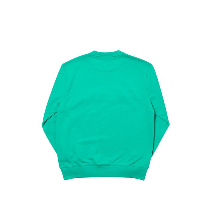 Thumbnail ACE CREW POOL GREEN one color