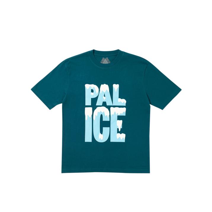 PAL ICE T-SHIRT FOREST GREEN one color