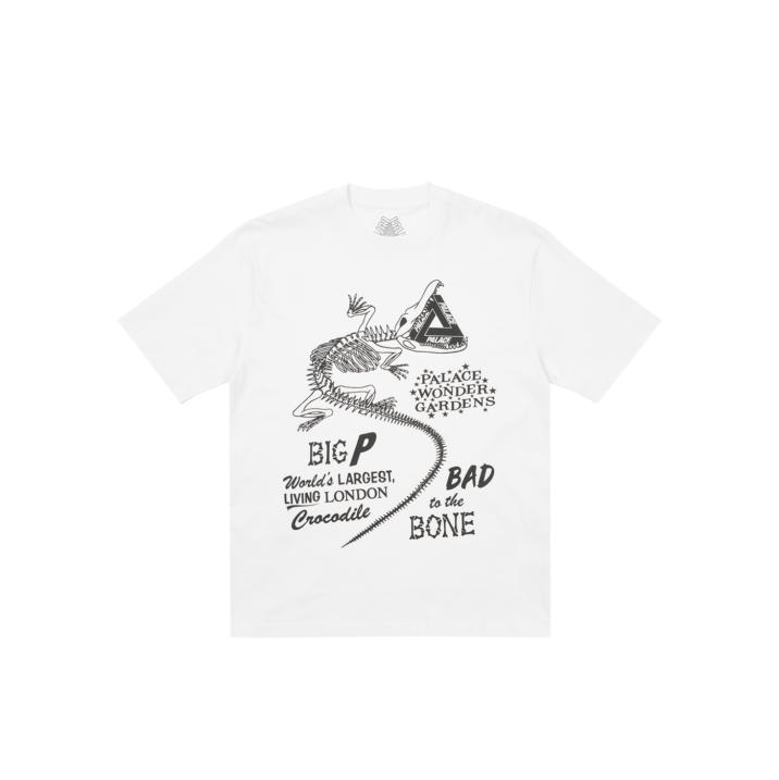 CHOMPER T-SHIRT WHITE one color