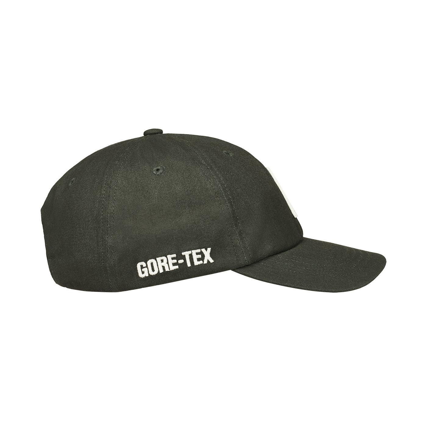 Thumbnail GORE-TEX PIGMENT P 6-PANEL GREEN one color