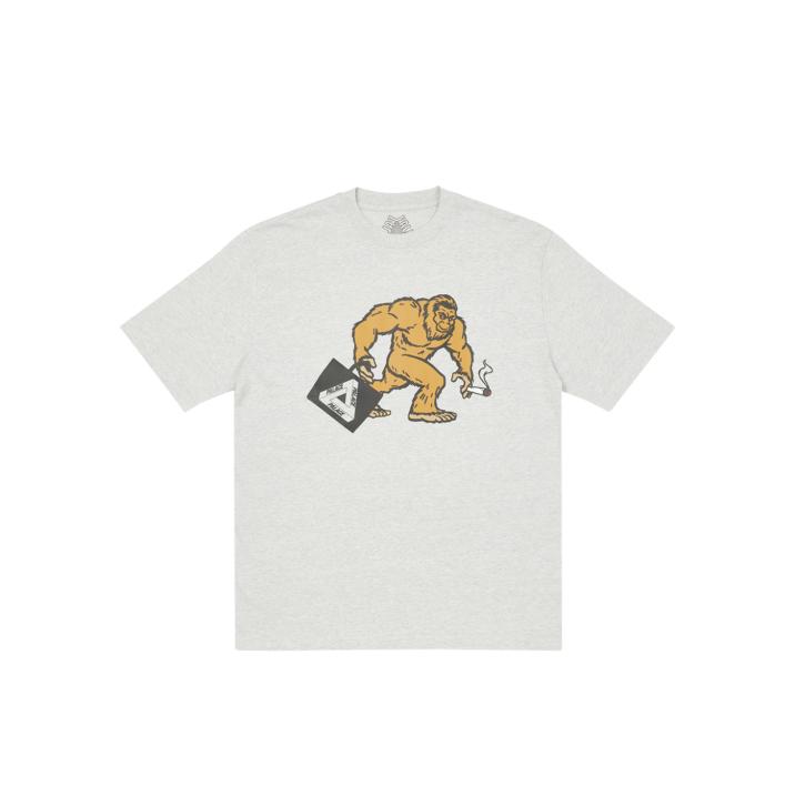 BIG ZOOT T-SHIRT GREY MARL one color