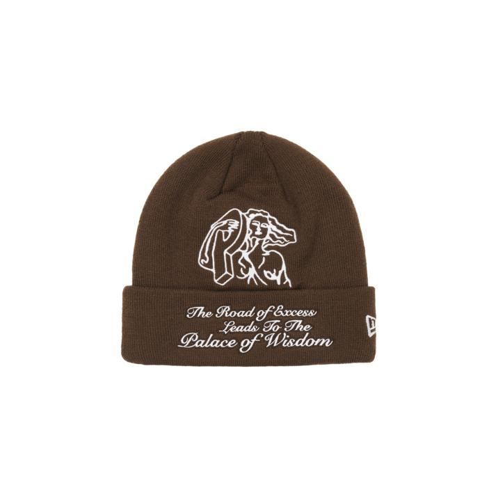 Thumbnail P-STATUE NEW ERA BEANIE BROWN one color