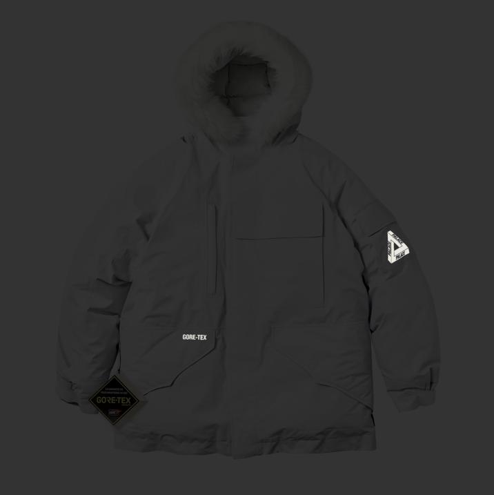 Thumbnail GORE-TEX DOWN PARKA ICE GREY one color