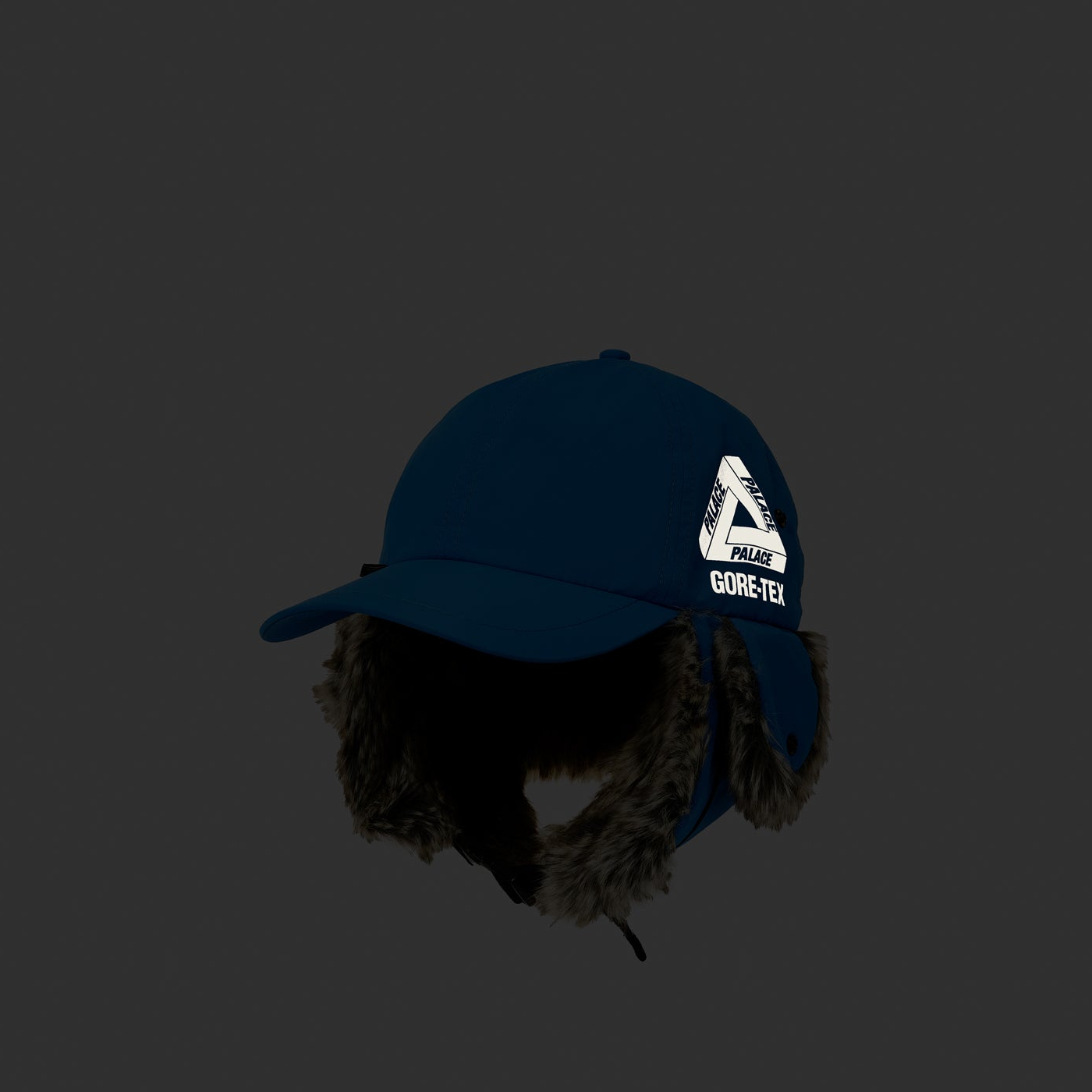 Thumbnail GORE-TEX DOG EAR 6-PANEL PALACE BLUE one color