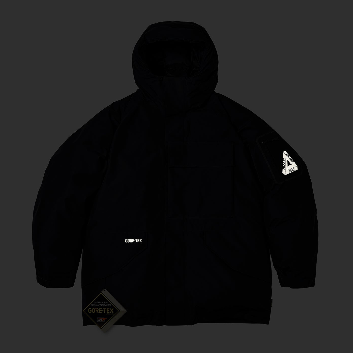 Thumbnail GORE-TEX CARGO DOWN PARKA BLACK one color