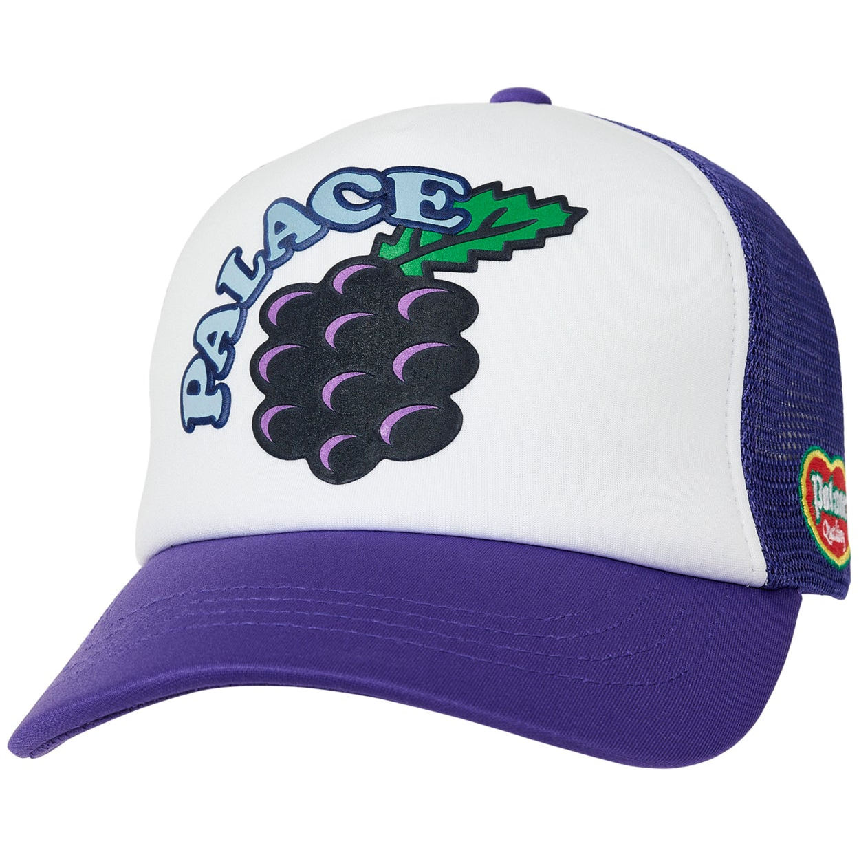 Thumbnail GRAPE TRUCKER PURPLE one color